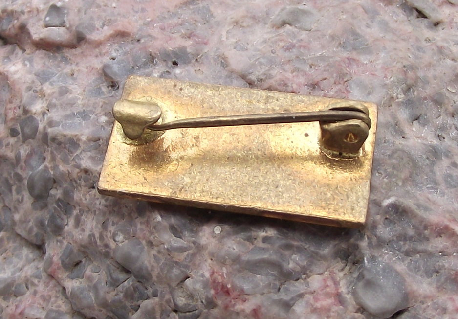 Vintage SSZ Slovakia Womens Union Slovenský Sväz žien Pin Badge - Badgecrazy