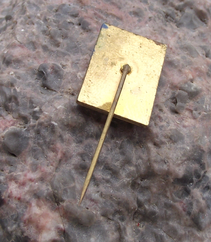 Vintage Vaclav Havel President CSR Civil Forum OF Democracy Pin Badge - Badgecrazy