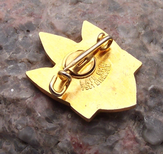 Vintage 800 km IVV Internationaler Volkssportverband Walking Award Pin Badge - Badgecrazy