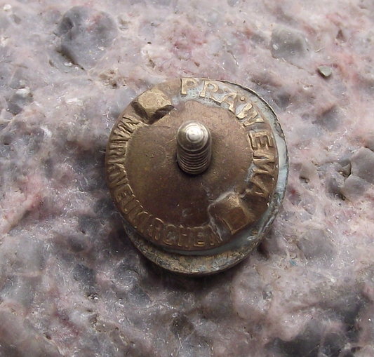 Vintage Socialist Unity Party of Germany SED Logo Screw Type Badge - Badgecrazy