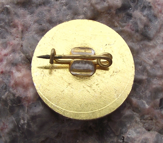 1982 Georgi Dimitrov Bulgaria Communist Leader Centenary Pin Badge - Badgecrazy