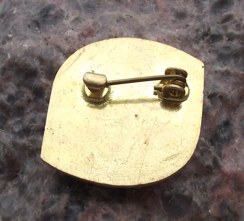 1989 CSZ Czechoslovakia Womens Union Plzen Conference Pin Badge - Badgecrazy