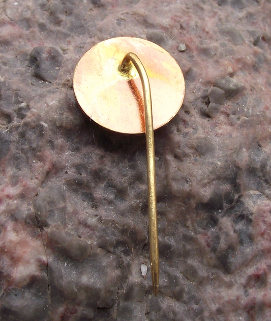 Czech Civil Forum OF Democracy Vaclav Havel Smiling Logo Pin Badge - Badgecrazy