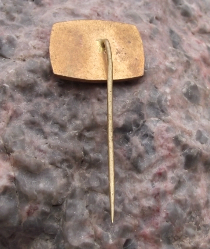 Vintage Black Horse Pony Head Equestrian Centre Pin Badge - Badgecrazy