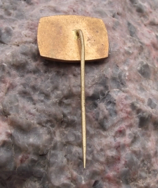 Vintage Black Horse Pony Head Equestrian Centre Pin Badge - Badgecrazy