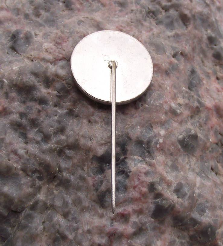 Vintage Czech Civil Forum OF Democracy Vaclav Havel Pin Badge - Badgecrazy