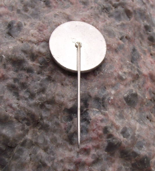 Vintage Czech Civil Forum OF Democracy Vaclav Havel Pin Badge - Badgecrazy