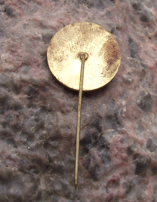 Vintage Czechoslovakia Social Democratic Party Logo Pin Badge - Badgecrazy