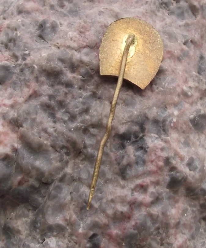 Vintage Koospol Prague Horse Equestrian Centre Horseshoe Pin Badge - Badgecrazy