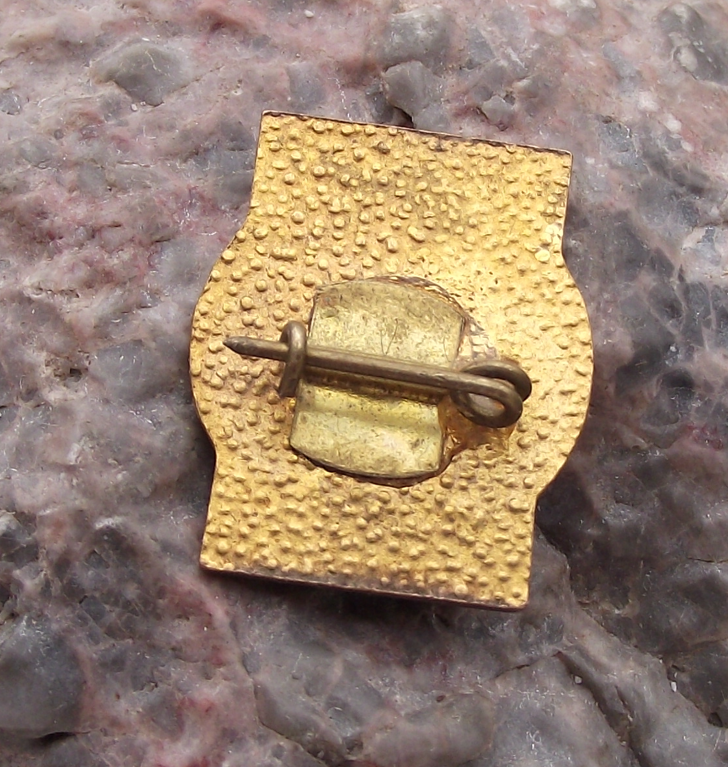 Vintage Head of Georgi Dimitrov Bulgaria Communist General Secretary Pin Badge - Badgecrazy