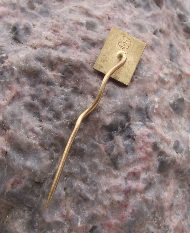 Vintage Freedom Dubcek Czechoslovakia Communist Election Pin Badge - Badgecrazy