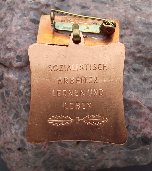 Vintage East German Socialist Workers DDR Agricultural Collective Award Medal