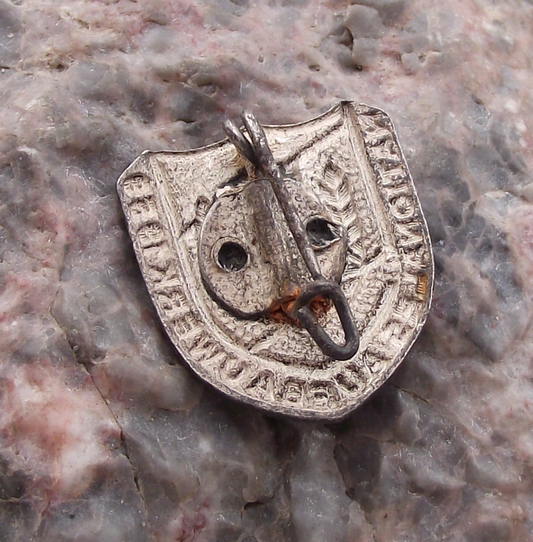 1959 NAW Nationales Aufbauwerk East German Volunteer DDR GDR Pin Badge - Badgecrazy