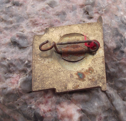 1979 Ernst Thalmann Pioneer GDR DDR East German Youth Blue Flag Pin Badge - Badgecrazy