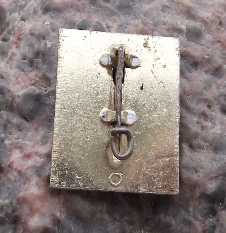 Vintage NAW MACH MIT East German Volunteer Worker DDR GDR Pin Badge - Badgecrazy