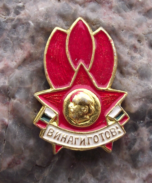 .Vintage Bulgaria Dimitrovist Pioneer Organization Communist Youth Pin Badge