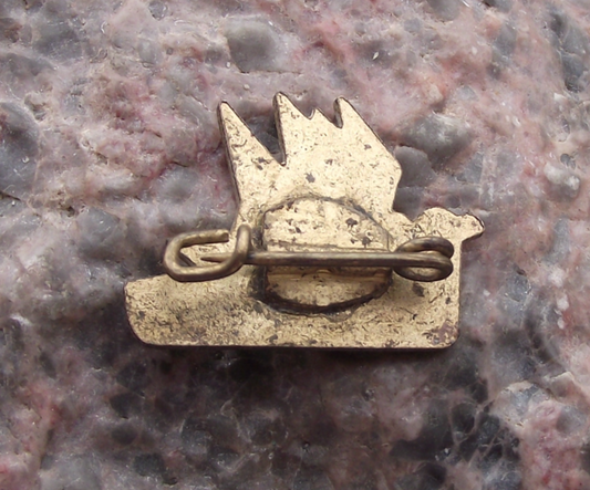 1964 Ostseewoche Baltic Week DDR East Germany International Festival Pin Badge - Badgecrazy