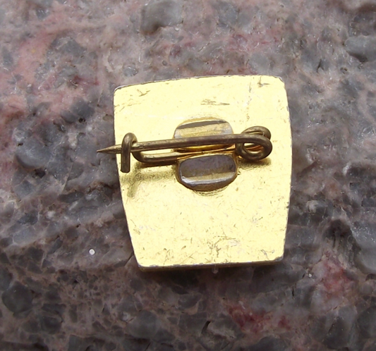 Vintage Bulgaria Dimitrovist Communist Youth Union Members Pin Badge - Badgecrazy