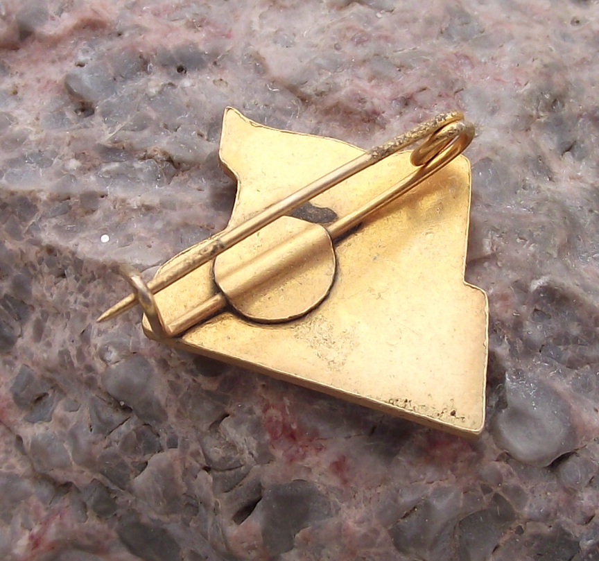 Vintage Rare Cuba May day Mayday 1st Red Flags Celebration Pin Badge - Badgecrazy