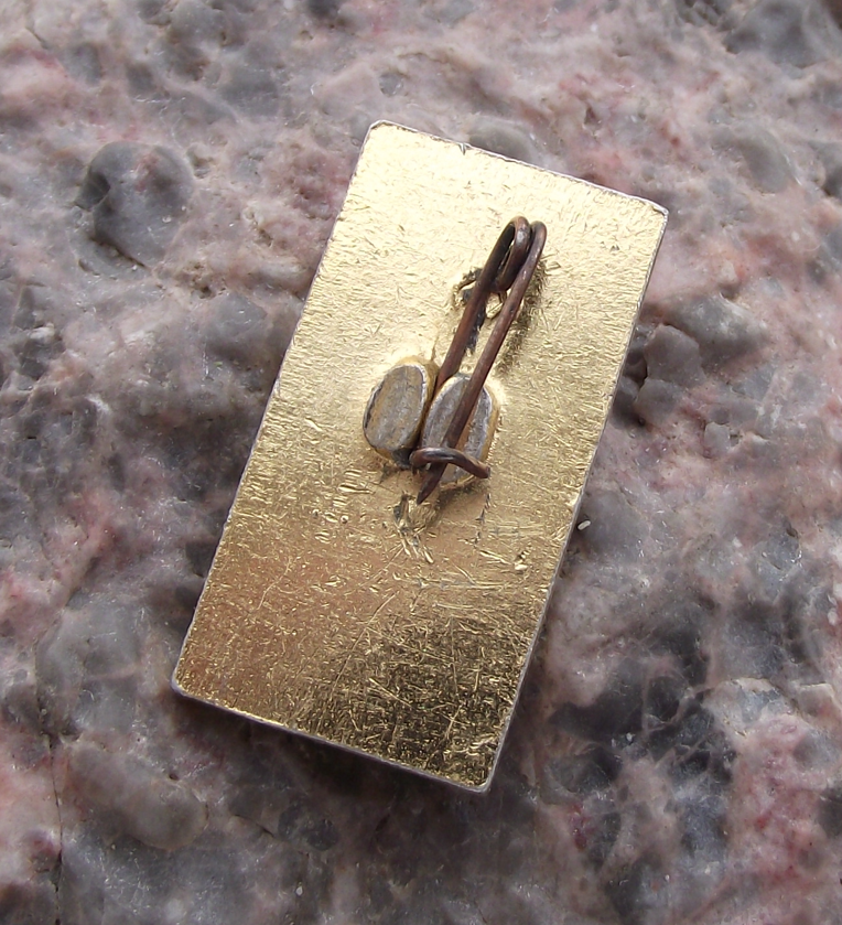 1967 Soviet Union Socialist 50th Anniversary Carnation Pin Badge
