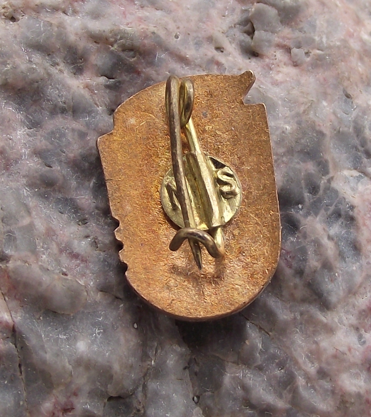 Vintage Romania Polisportiv Athletics Grade 1 Award Flag Pin Badge - Badgecrazy