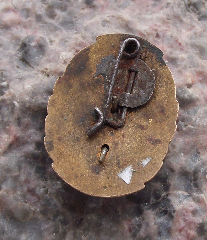 Vintage Romania AVSAP Paramilitary Organisation Anchor Logo Pin Badge - Badgecrazy