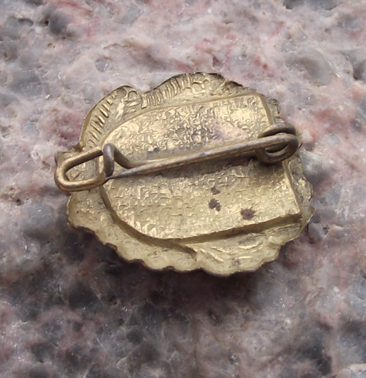 Vintage Germany Frobelturm Schwarzatal Region Tourist Pin Badge - Badgecrazy