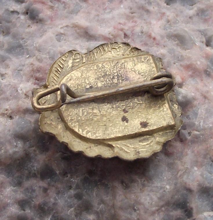 Vintage Germany Frobelturm Schwarzatal Region Tourist Pin Badge - Badgecrazy