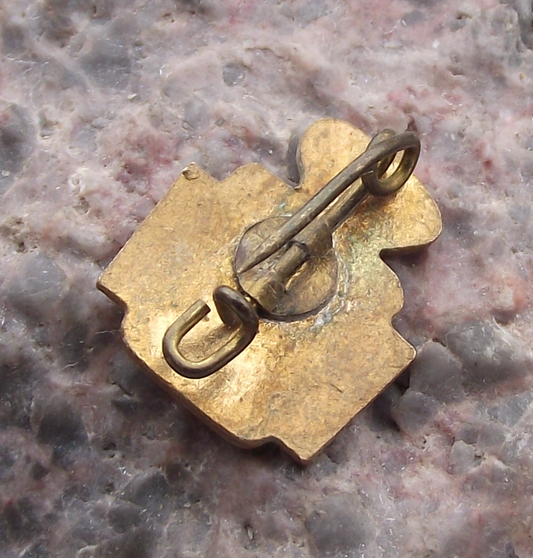 Vintage Belgium Basketball Association FRBSB KBBB Lion Pin Badge - Badgecrazy