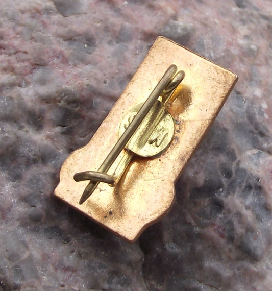 Vintage Romania FRA Athletics Federation Sports Discobolus Pin Badge - Badgecrazy