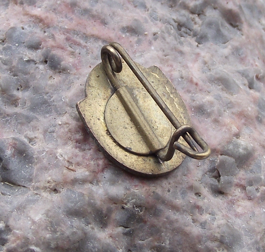 Vintage BSG Traktor East Germany Agricultural Football Soccer Team Pin Badge - Badgecrazy