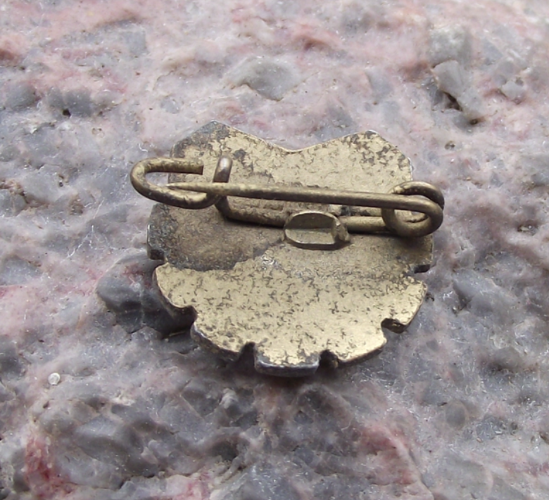 Vintage BSG Motor East Germany DDR Football Soccer Team Pin Badge - Badgecrazy