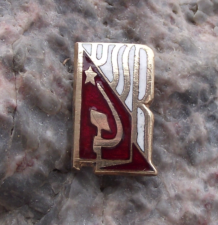 Vintage Soviet Union Hammer Sickle Logo on Red Flag USSR Pin Badge