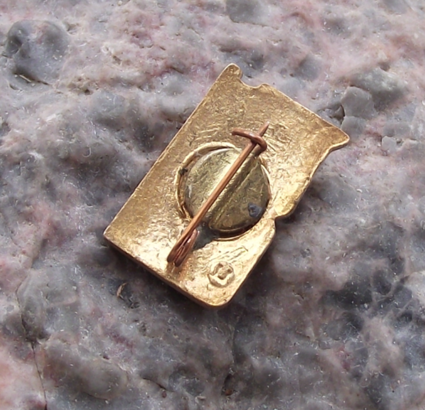 Vintage Soviet Union Hammer Sickle Logo on Red Flag USSR Pin Badge