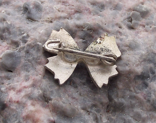 Vintage DDR East German Soviet Friendship GDR USSR Tied Flags Pin Badge - Badgecrazy