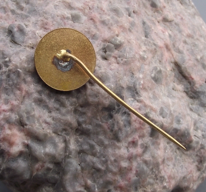 Vintage Czechoslovakia Homing Pigeon Breeders Association Bird Pin Badge - Badgecrazy