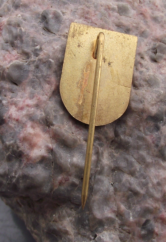 1981 Czech Homing Pigeon Breeders Show Uherske Hradiste Pin Badge - Badgecrazy