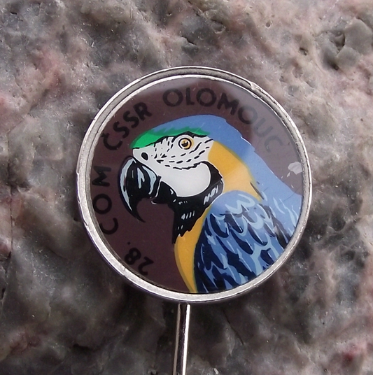 Vintage Czechoslovakia Olomouc Parrot Macaw Bird Breeders Club Pin Badge - Badgecrazy