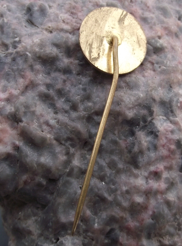 Vintage Czechoslovakia Jicin Parrot Macaw Bird Breeders Club Pin Badge - Badgecrazy