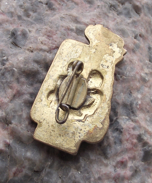 1969 Thalmann Pioneer GDR DDR Good School Work Student Award Pin Badge - Badgecrazy