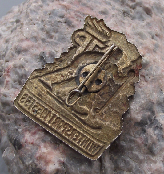 1955 Thalmann Pioneer Organisation Youth Wintersport Skiing Award Pin Badge