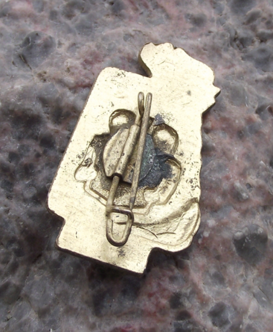 1973 Thalmann Pioneer GDR DDR Good School Work Student Award Pin Badge - Badgecrazy