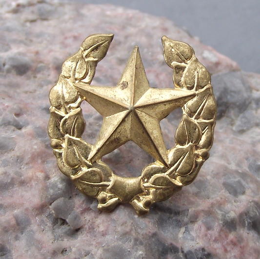 Czechoslovakia Army CSLA Uniform Insignia Combined Arms Training Badge