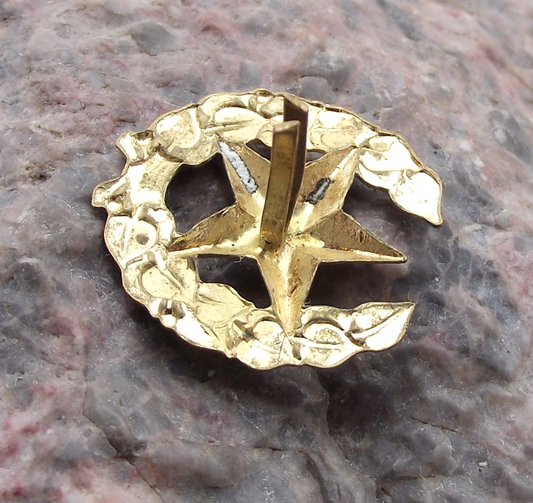 Czechoslovakia Army CSLA Uniform Insignia Combined Arms Training Badge