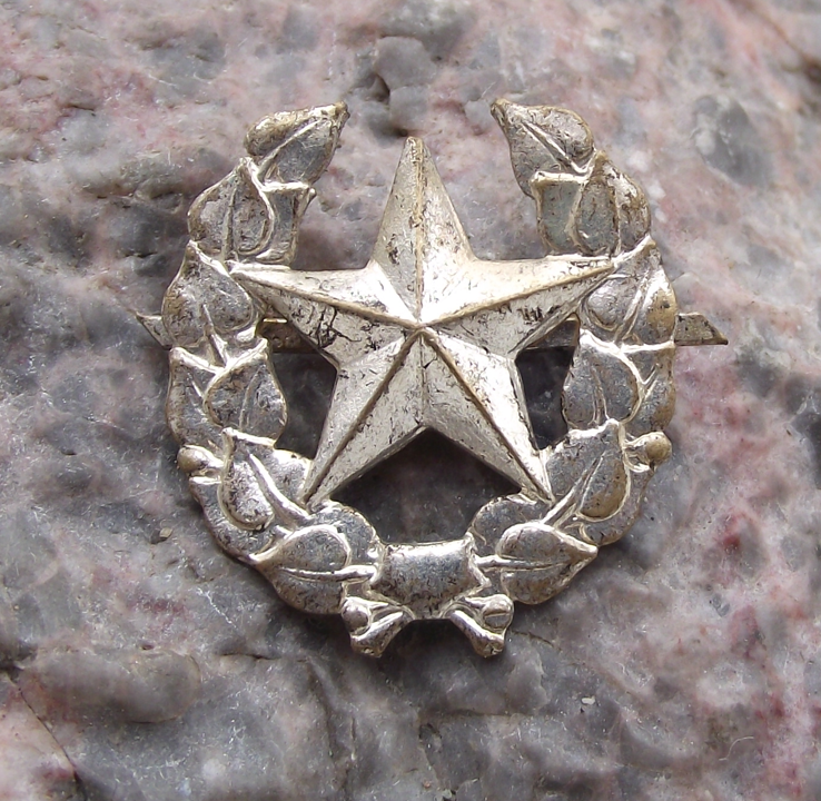 Czechoslovakia Army CSLA Uniform Insignia Combined Arms Training Badge