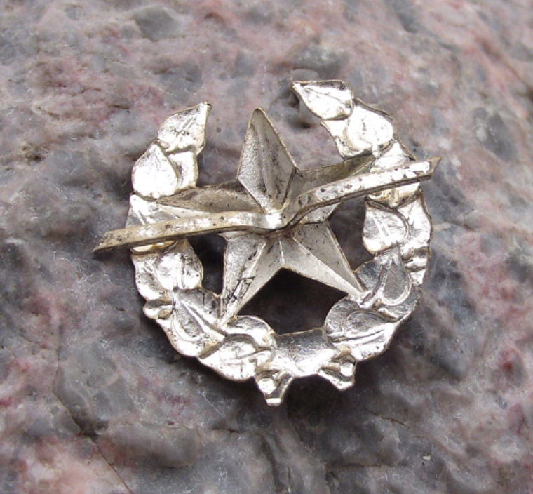 Czechoslovakia Army CSLA Uniform Insignia Combined Arms Training Badge