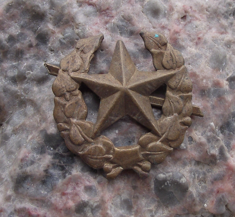 Czechoslovakia Army CSLA Uniform Insignia Combined Arms Training Badge