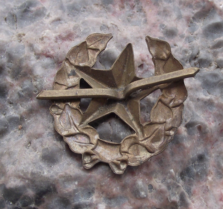 Czechoslovakia Army CSLA Uniform Insignia Combined Arms Training Badge