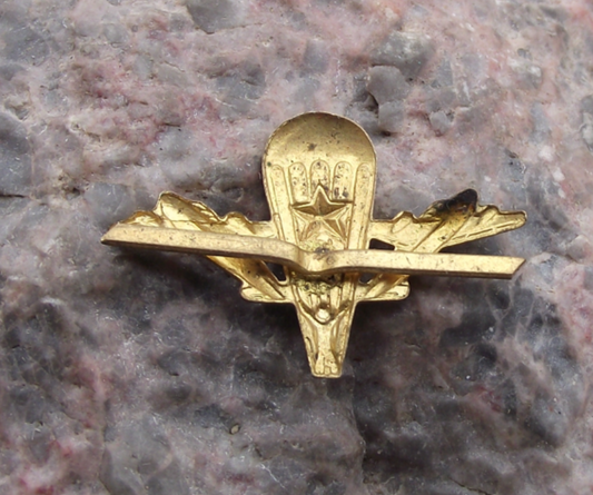 Czechoslovakia Army CSLA Uniform Insignia Parachute Regiment Badge