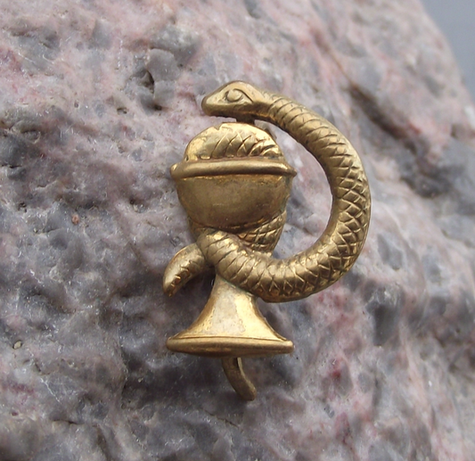 Czechoslovakia Army CSLA Uniform Insignia Medical Corps Snake Badge